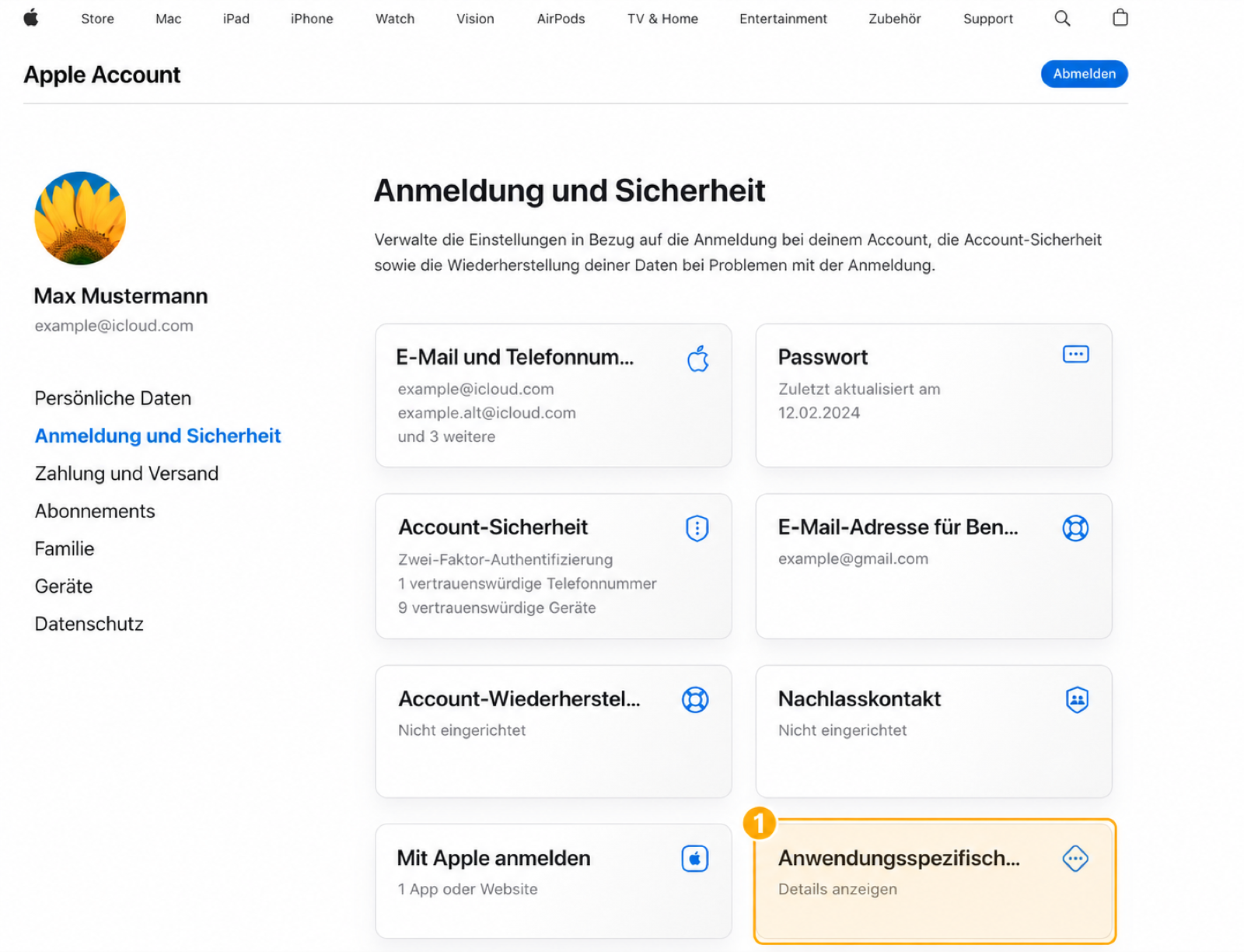 Anonymisierter Apple-Account-Bereich mit markierter Kachel